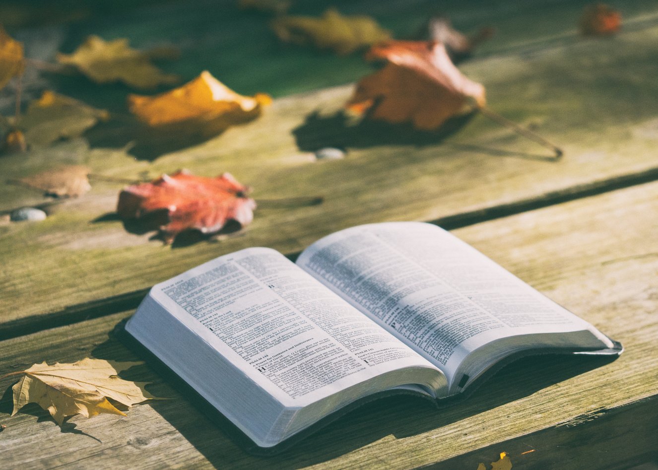 Open Book on Wooden Surface